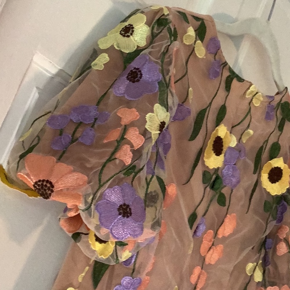 Beautiful 3D multicolor floral appliqué dress - Picture 10 of 15